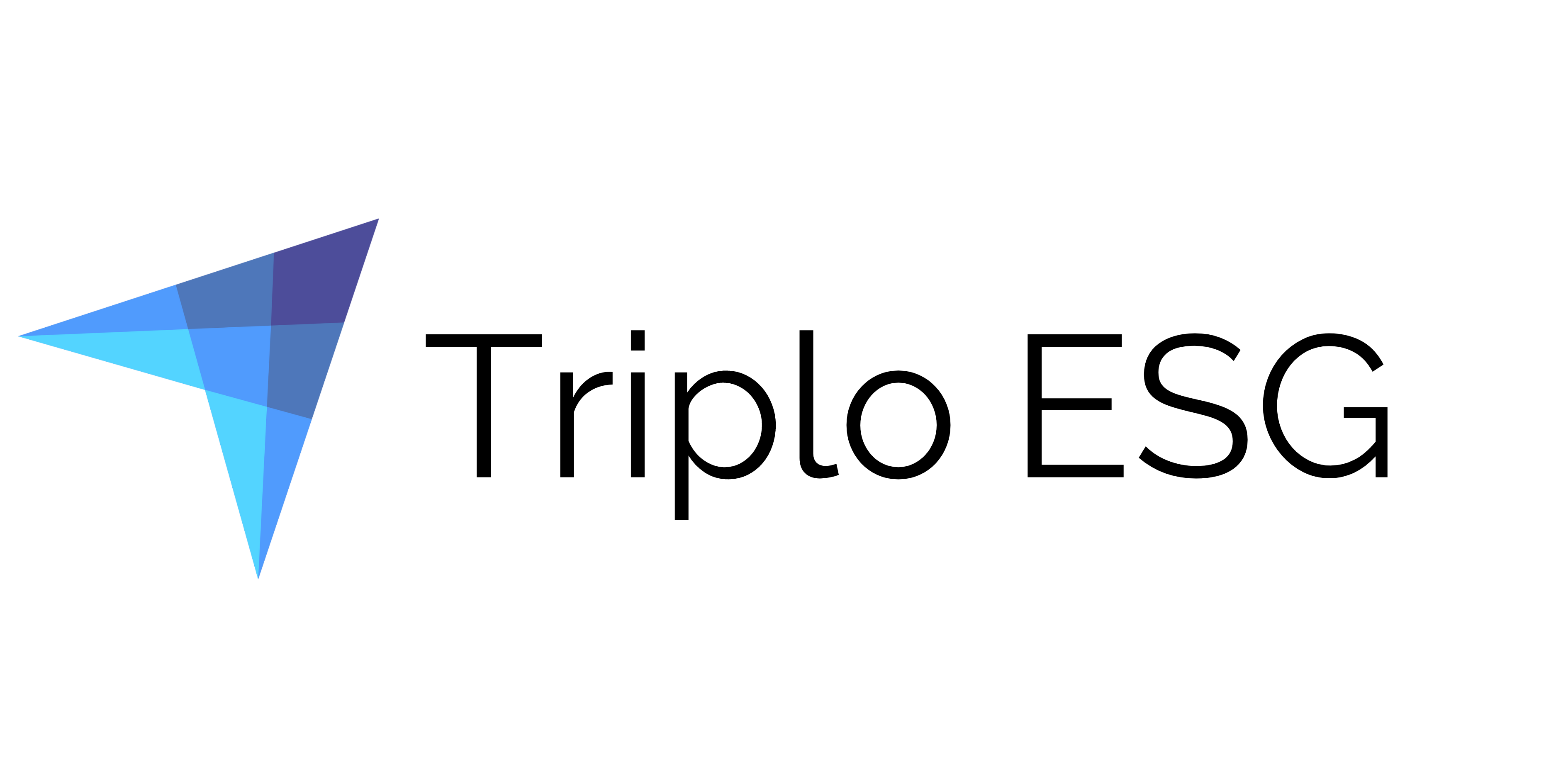 Triplo Logo